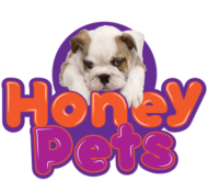 Pet Grooming Serving South & Central Florida - Honey Pets