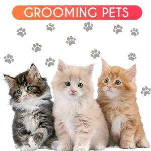 mobile pet grooming west palm beach fl