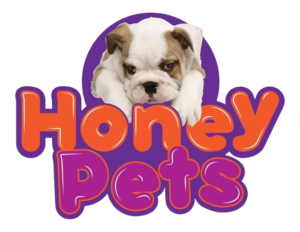 Local Pet Groomer Near Me