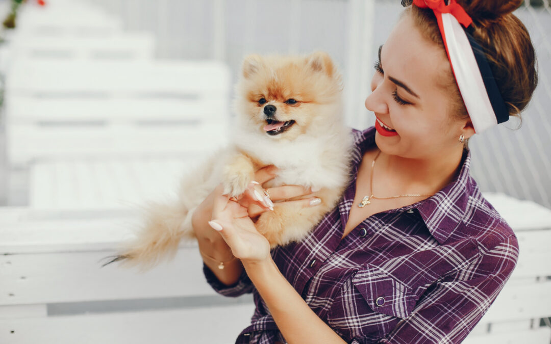 Fall Grooming Tips for Charlotte Dogs with Outdoor Lifestyles