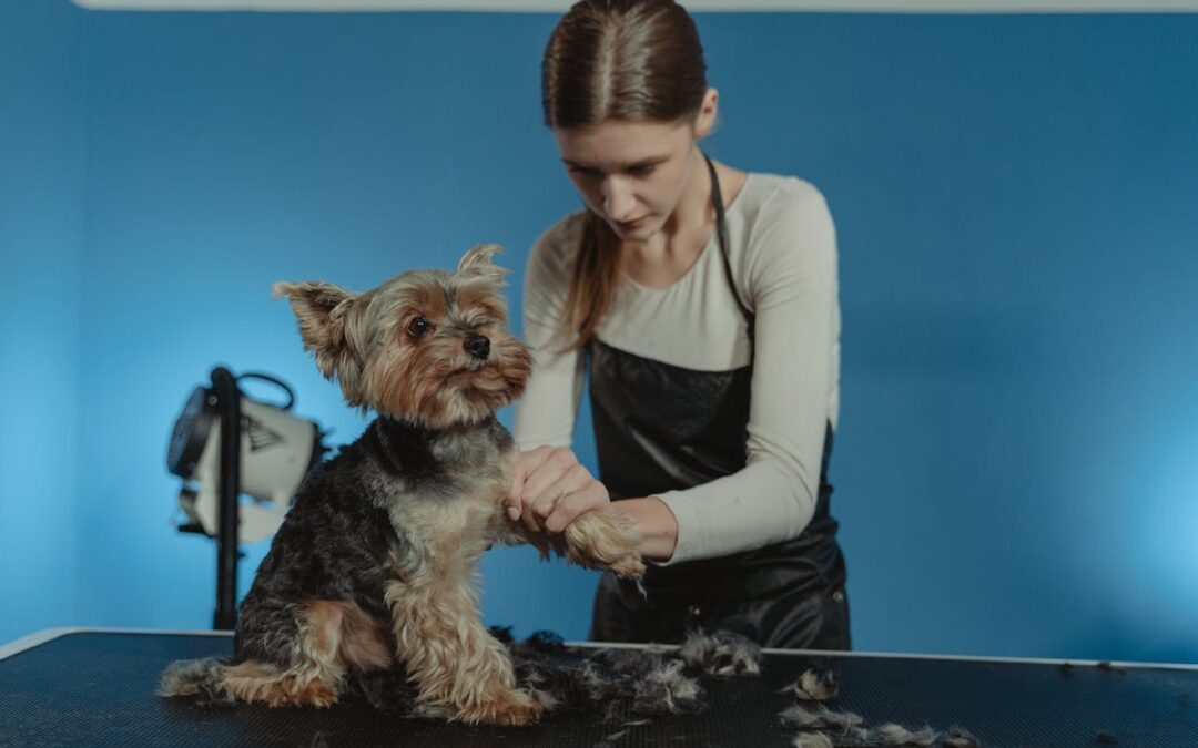 The Benefits of Mobile Pet Grooming for Busy Owners in Charlotte NC
