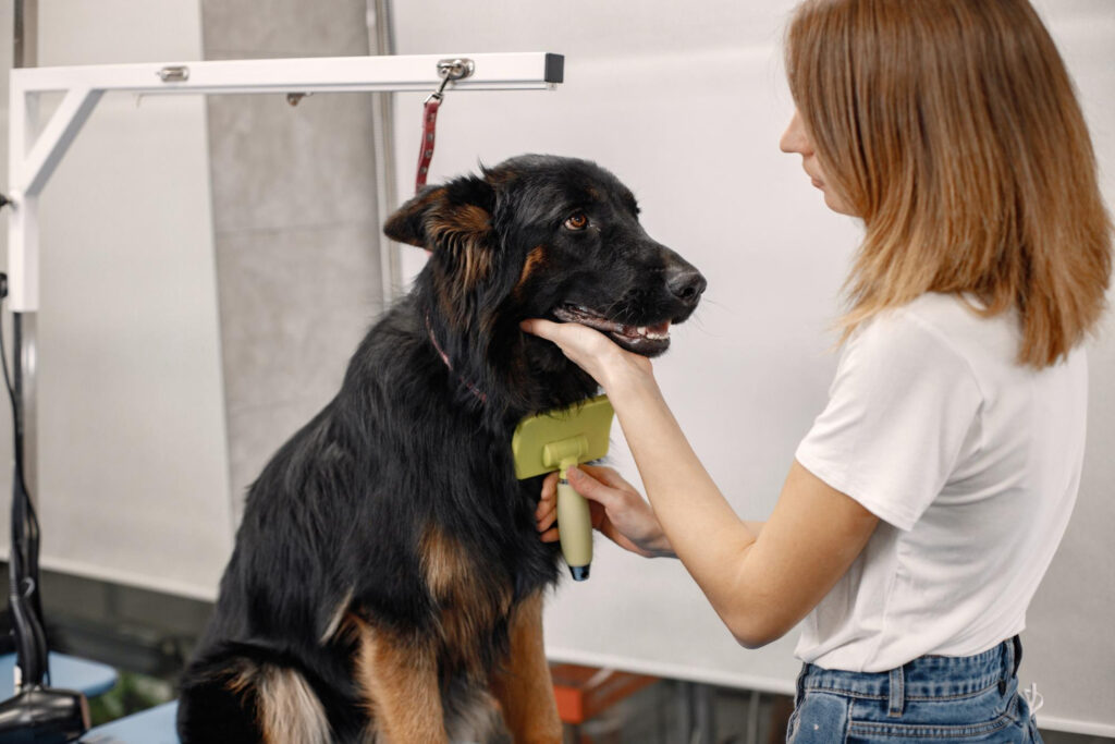 Mobile Dog Grooming