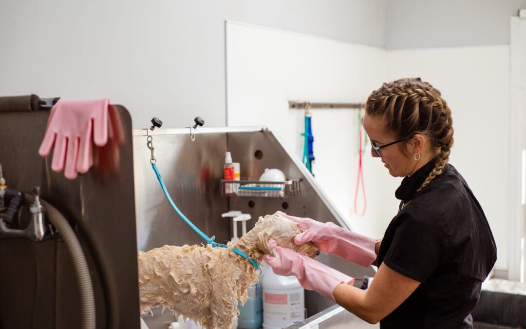 What to Pack for Mobile Pet Grooming Appointments in Greensboro