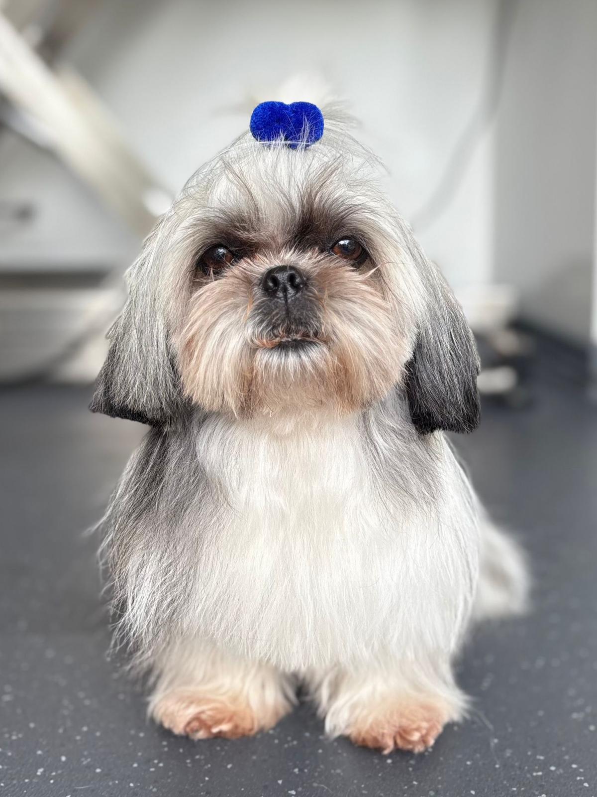 WhatsApp Image 2026-01-24 at 9.03.58 AM (4)