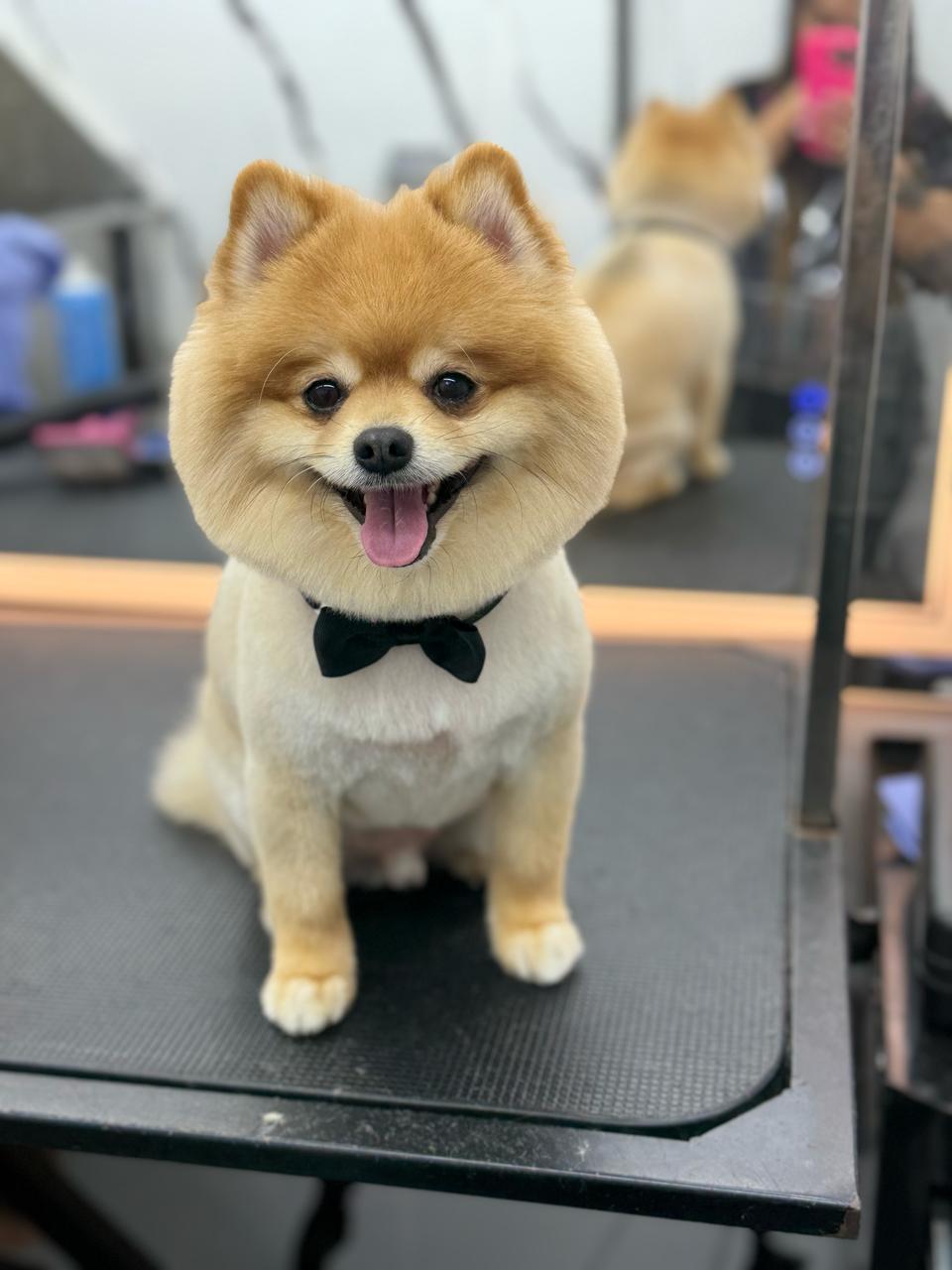 WhatsApp Image 2026-01-24 at 9.03.58 AM (5)