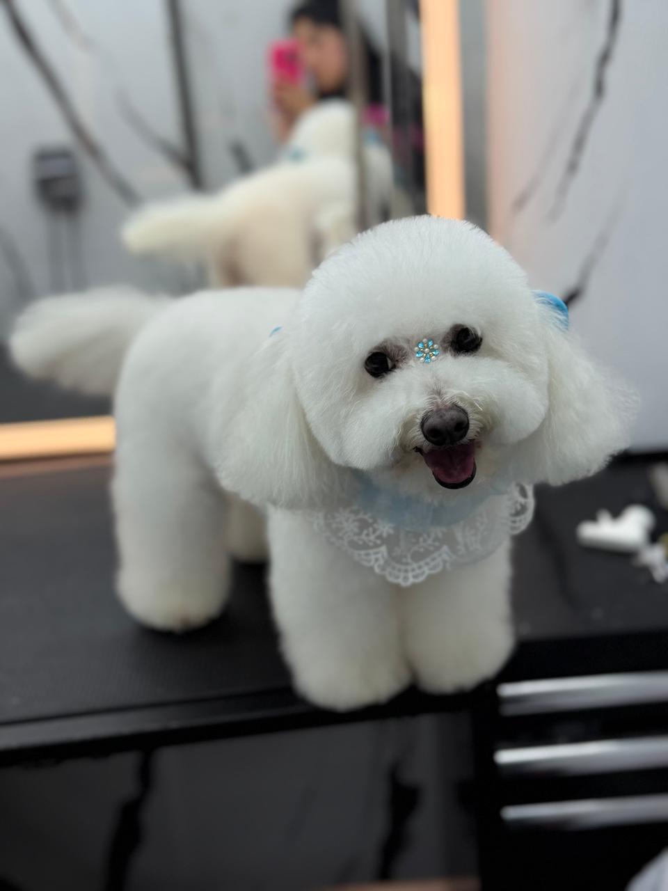 WhatsApp Image 2026-01-24 at 9.03.59 AM (1)