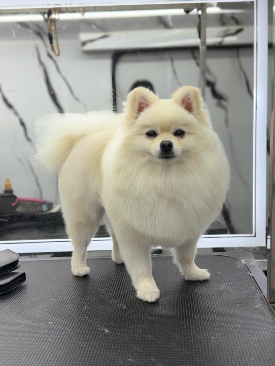 WhatsApp Image 2026-01-24 at 9.03.59 AM (2)