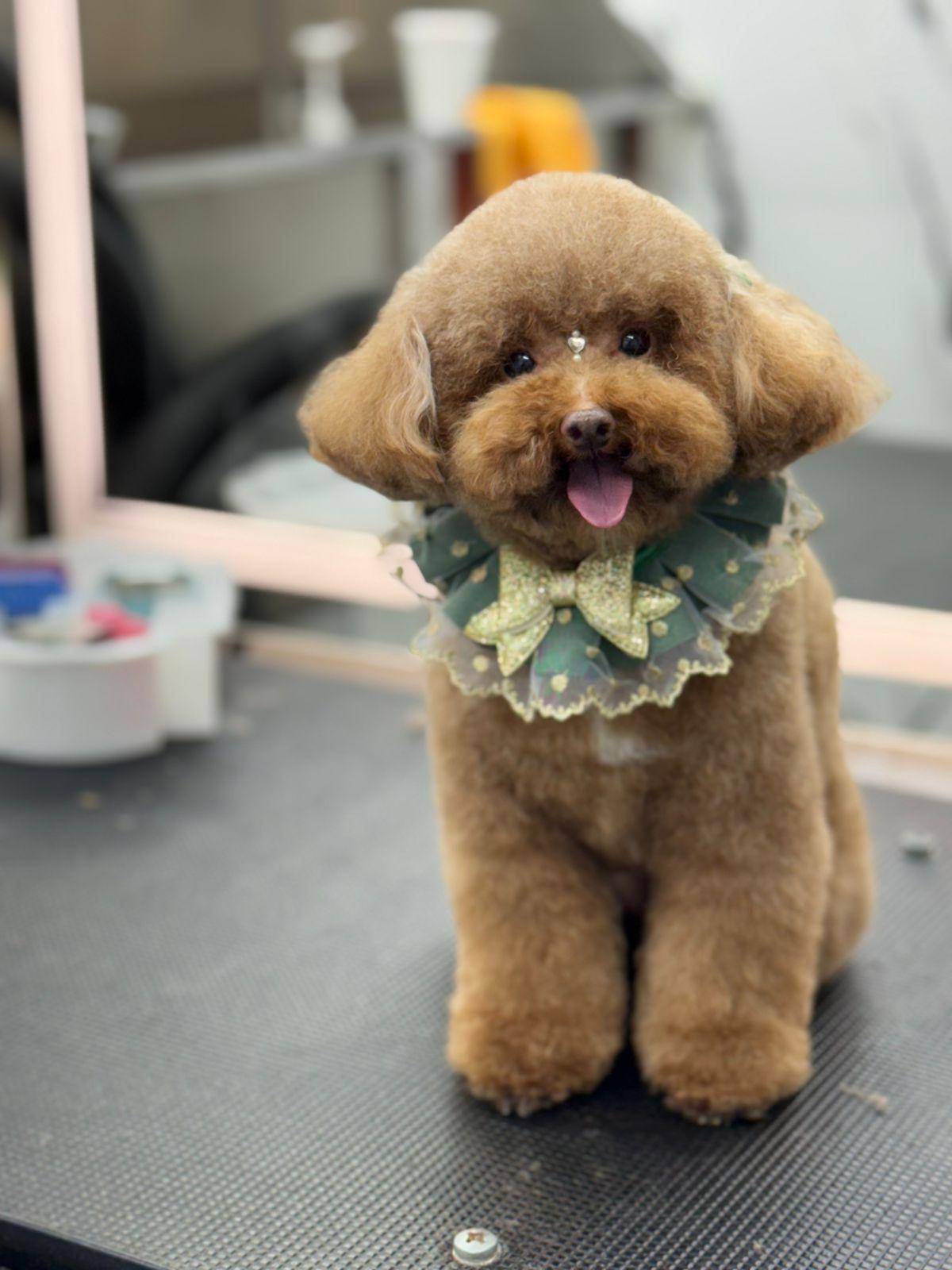 WhatsApp Image 2026-01-24 at 9.03.59 AM (3)