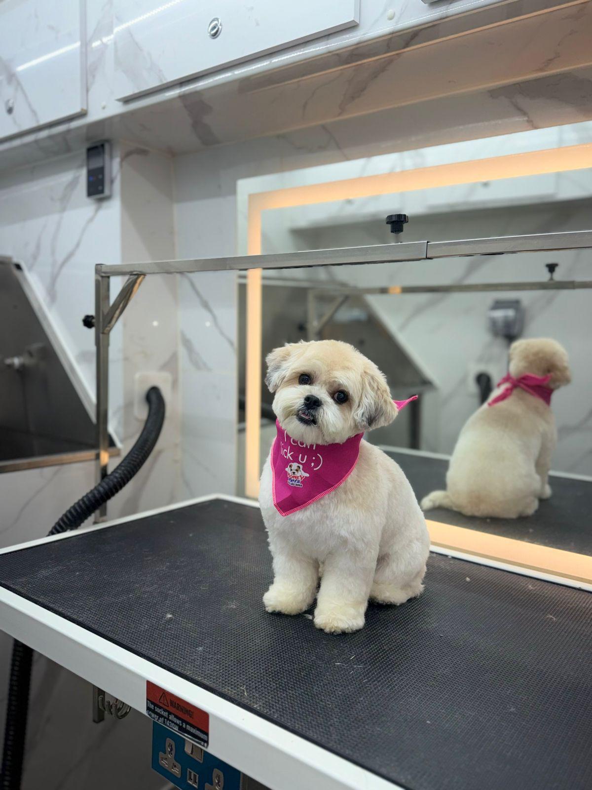 WhatsApp Image 2026-01-24 at 9.03.59 AM (4)