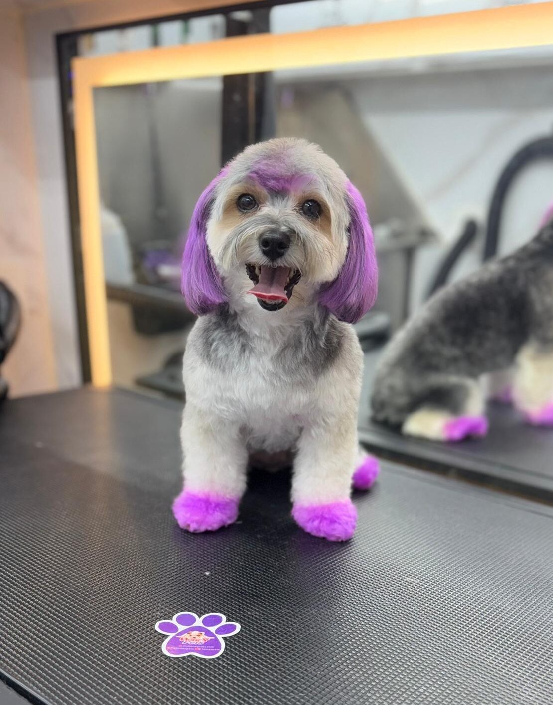 WhatsApp Image 2026-01-24 at 9.04.00 AM (1)