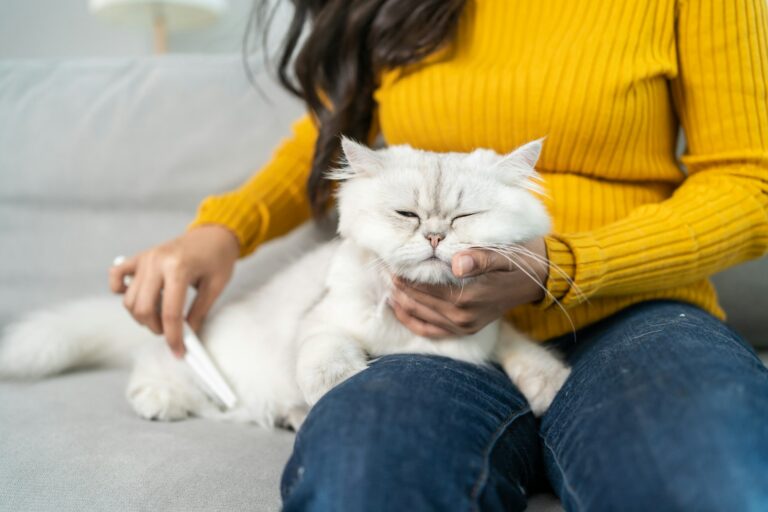 Grooming