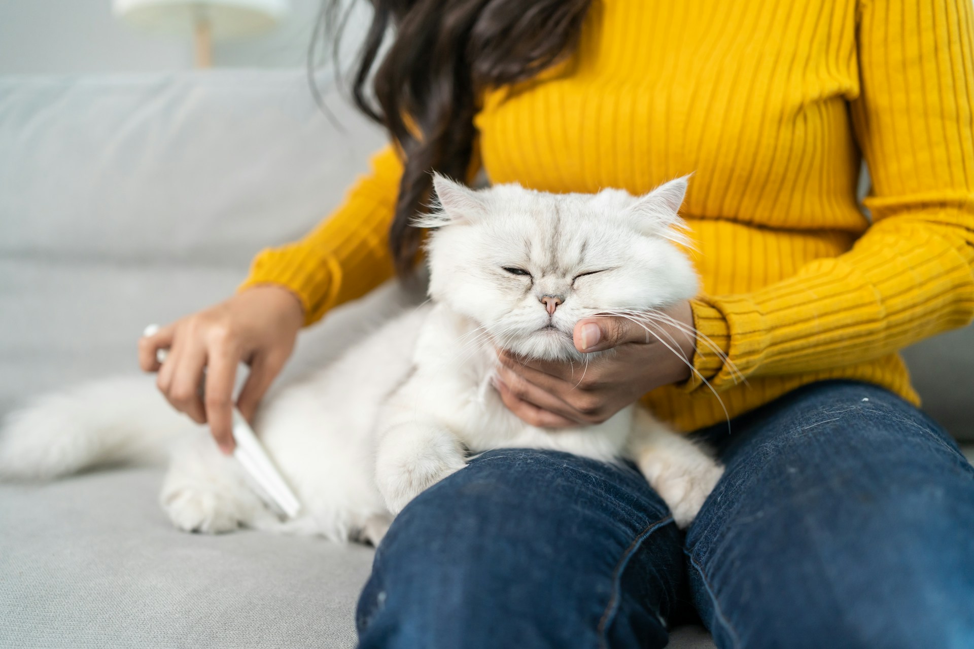 Grooming